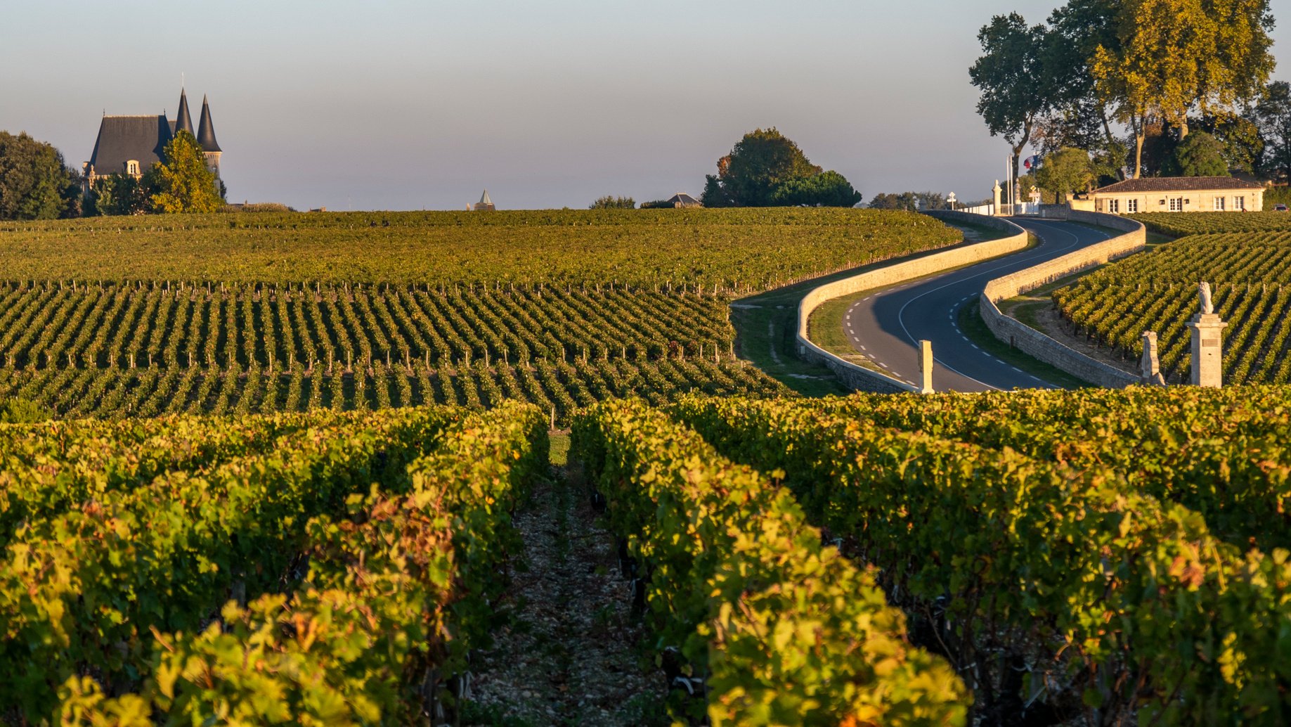 Route des Chateaux, Vineyard in Medoc, amous wine estate of Bordeaux wine, France